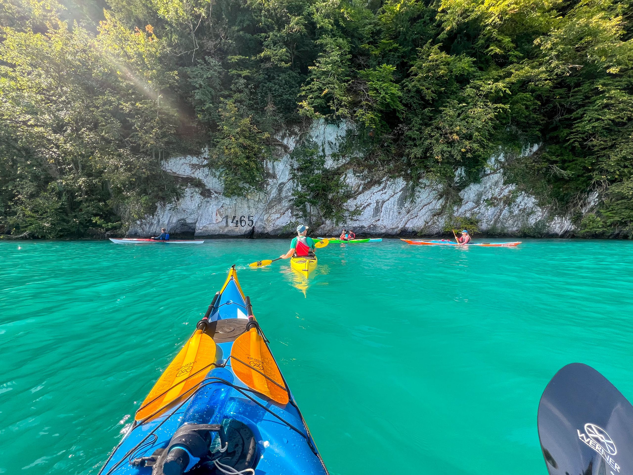 IMG_3955.jpg IMG_3955