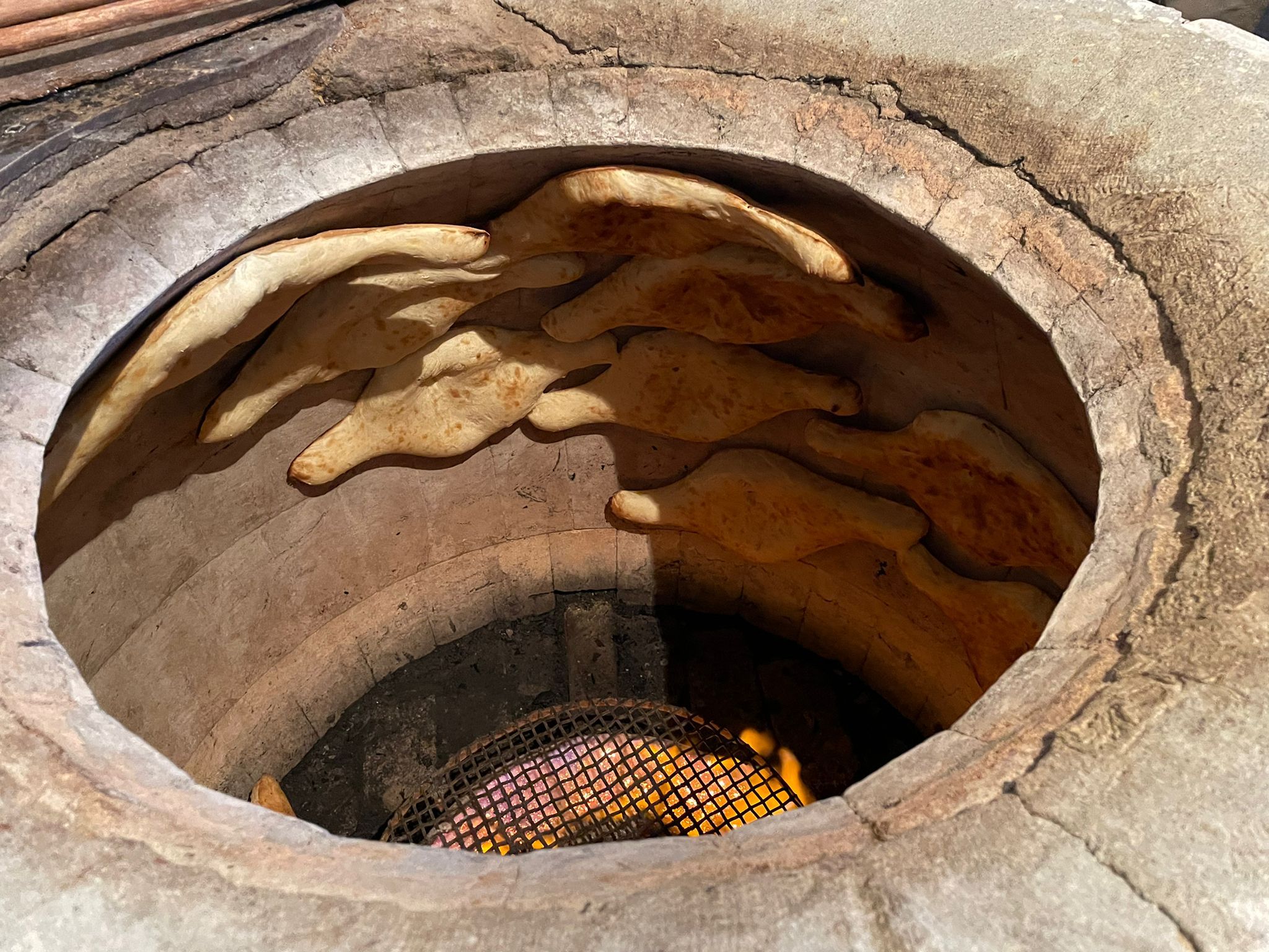 IMG_5537.jpeg IMG_5537