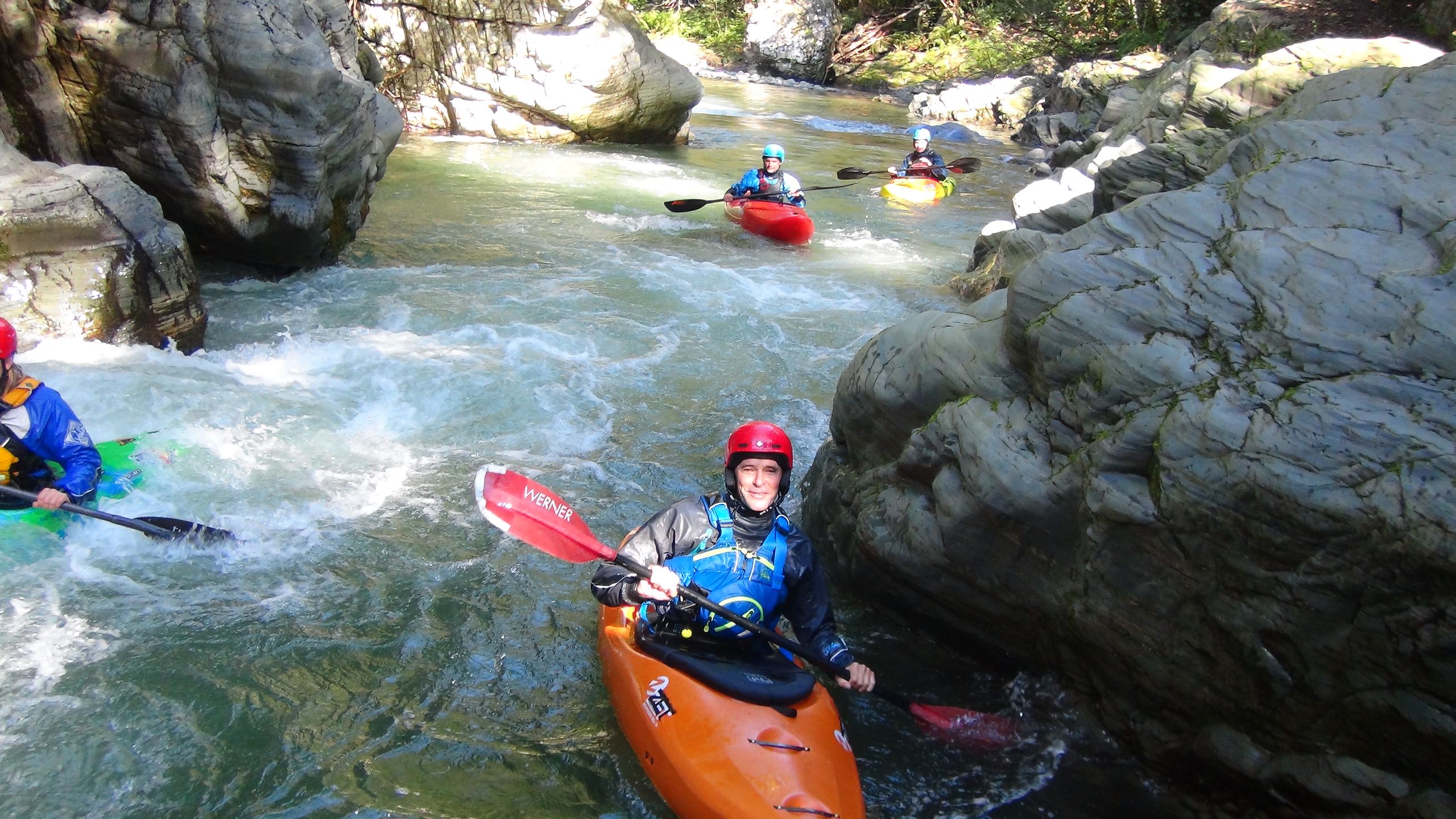 DSC05338.jpeg DSC05338