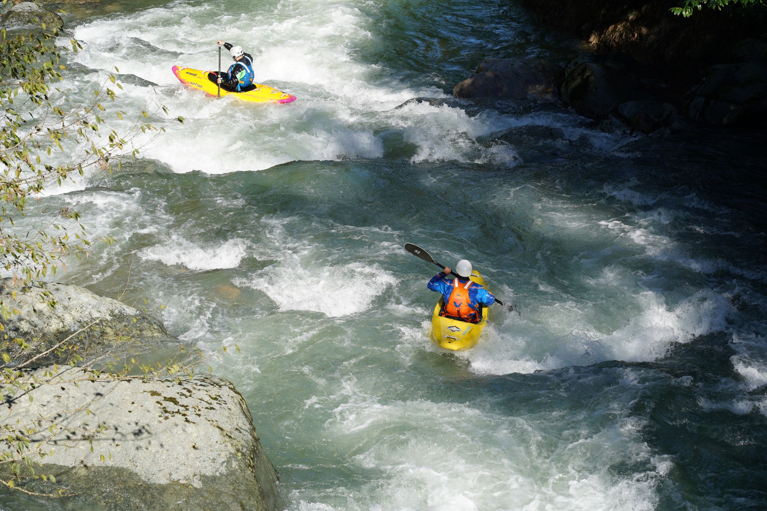 DSC06329.JPG DSC06329