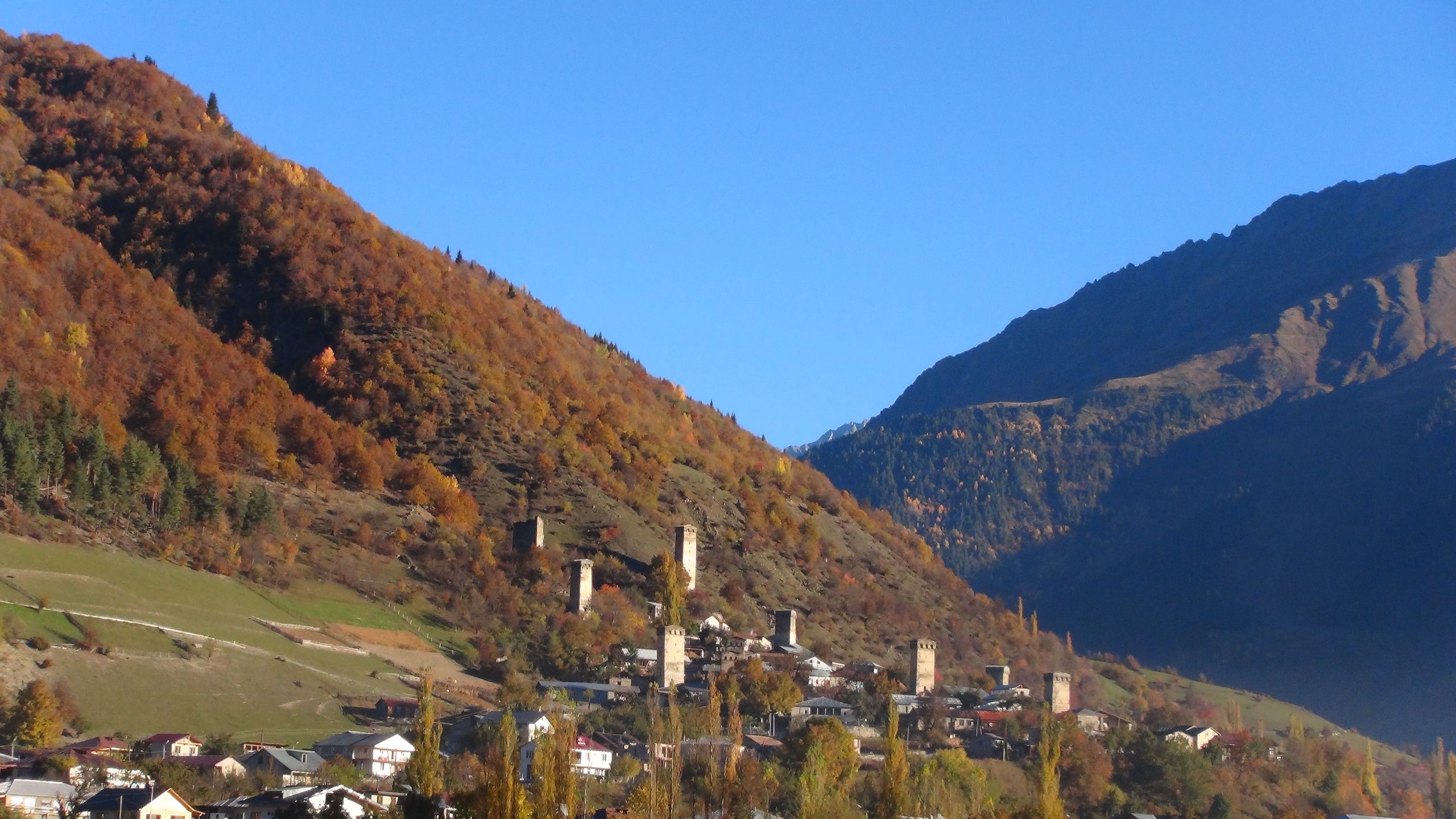 DSC05462.JPG DSC05462