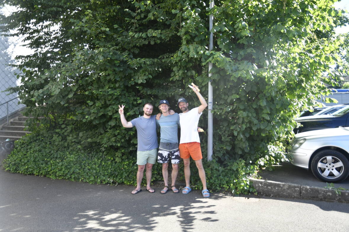 _dsc3587.jpg _dsc3587.jpg