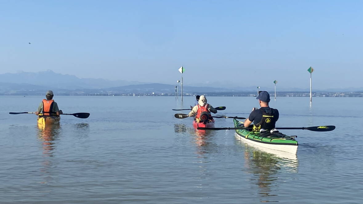 img_2249.jpg img_2249.jpg