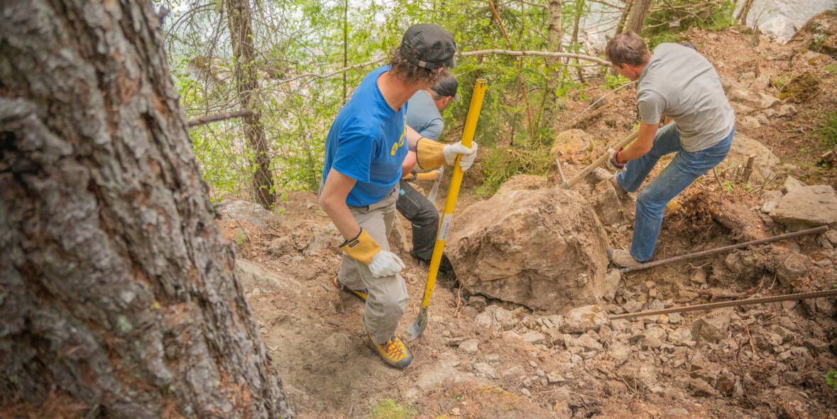 img_1310.jpg img_1310.jpg